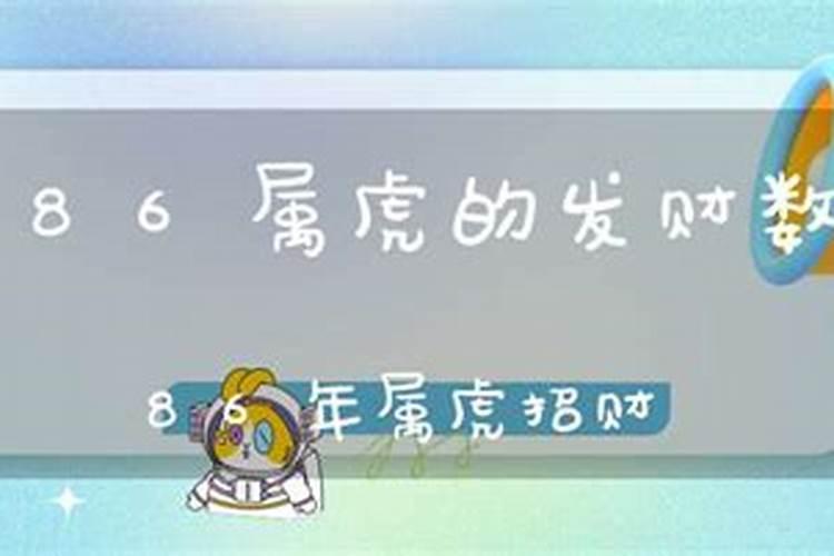 86年属虎的发财数字