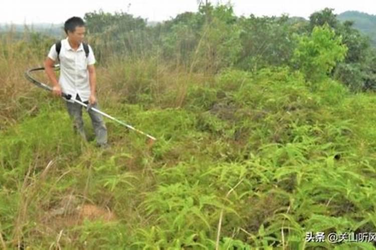 梦见坟上除草是什么意思