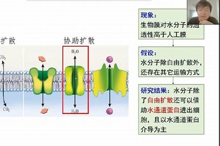 转运包括