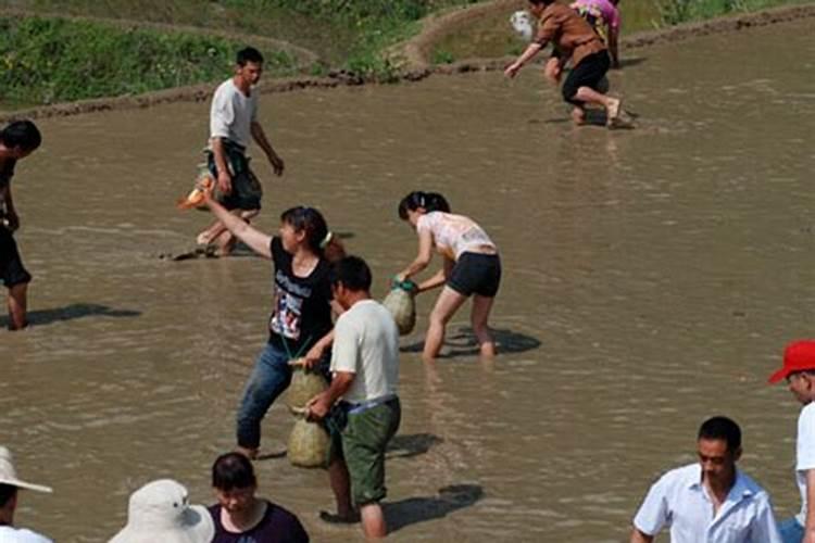 梦见浑水挡路了好不好呀