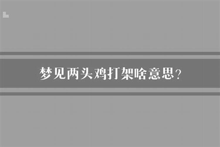 梦见两只鸡打架死了