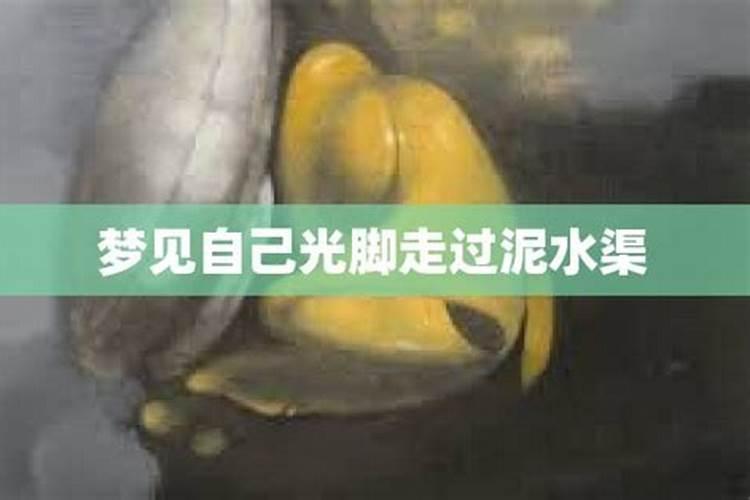 梦见水渠里的水很大,爸爸跳了过去,我没有跳过去