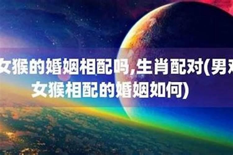 梦到看到钱不敢捡是什么意思