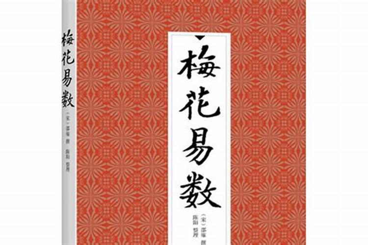 1996年是金命还是水命,96年是什么生肖