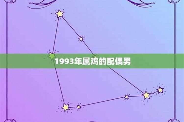 1993年属鸡配对