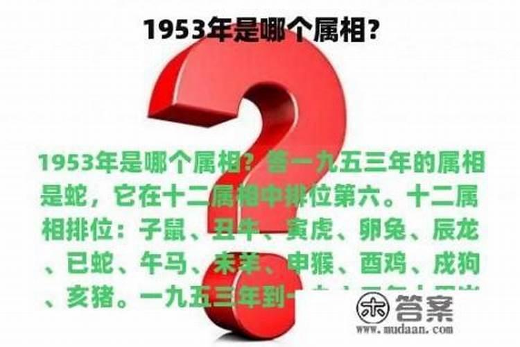 1953年的人婚姻