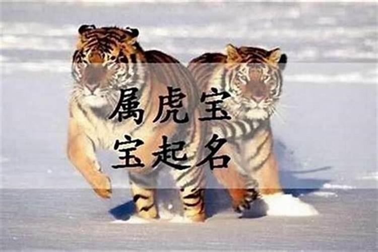 属虎水命取名用什么字好