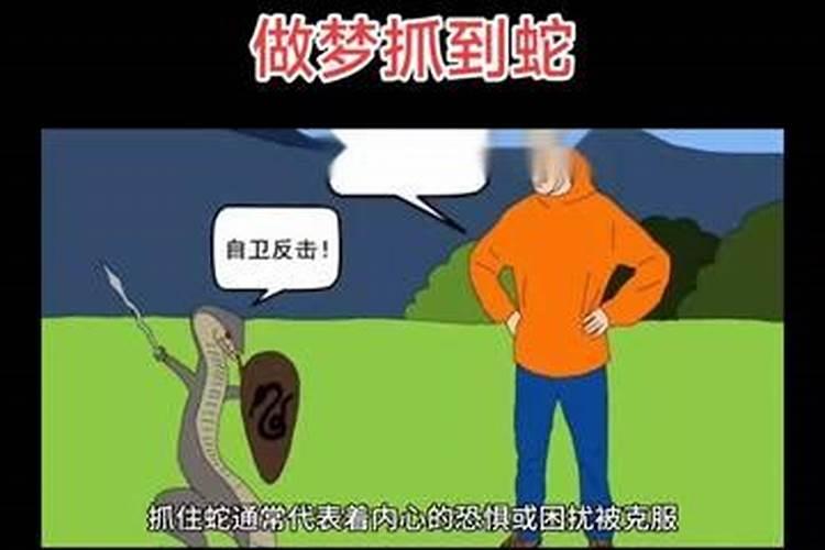 梦见我妈抓了一条大蛇