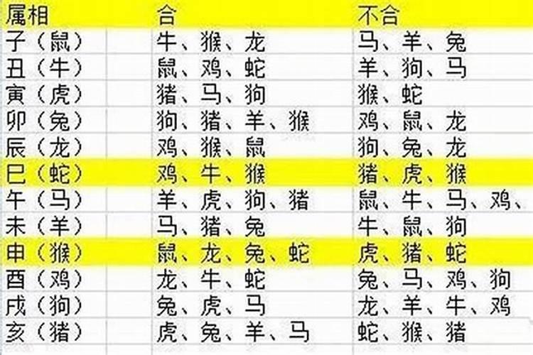 2023生宝宝属相运势如何看呢