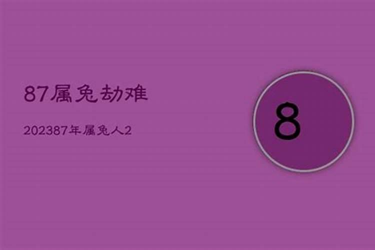 1987年属兔2023年运势每月运势