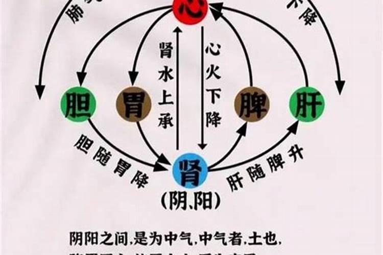 中医五行怎么理解