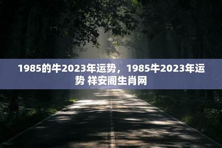 1985属免运势如何