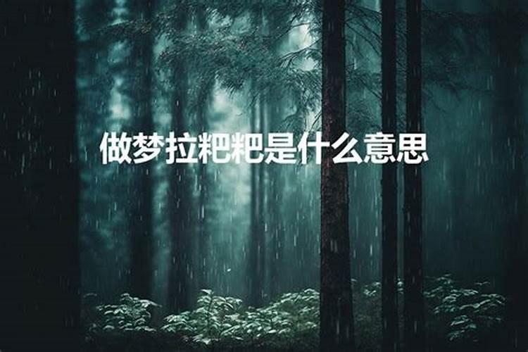 做梦拉粑粑好不好怎么回事儿周公解梦