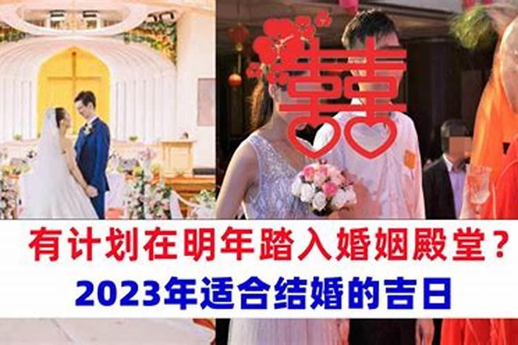 02年属马2023年运势女