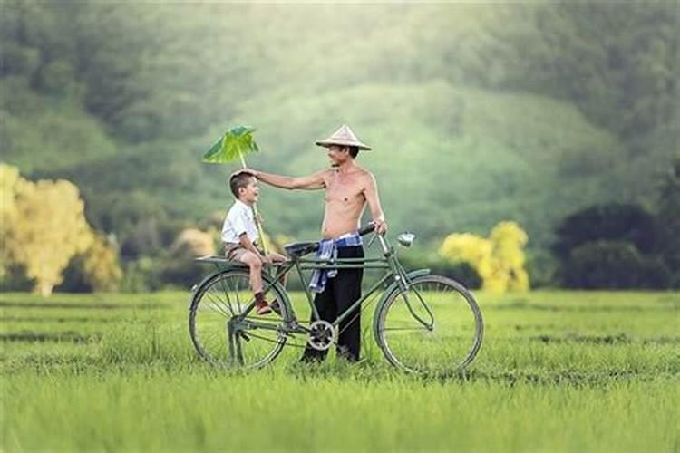 梦到父亲说住在坑里好不好