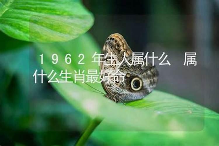 1962年生人属相是什么