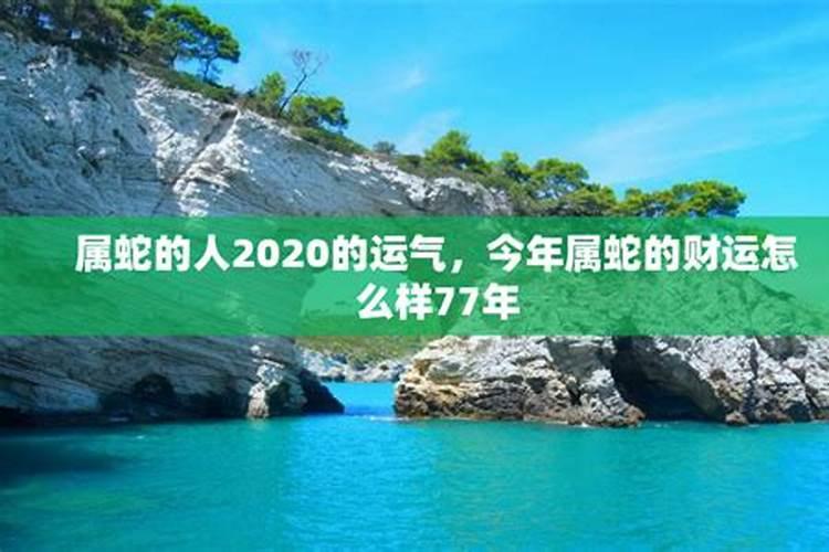 今年蛇年运气怎么样在2020