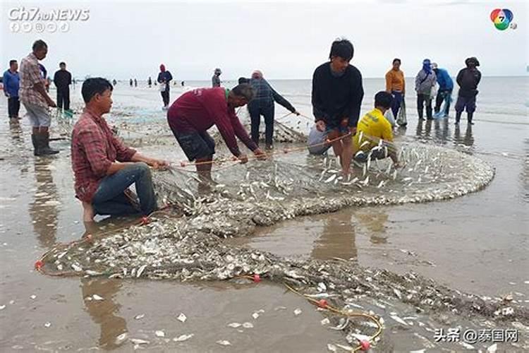 梦到在海边赶海