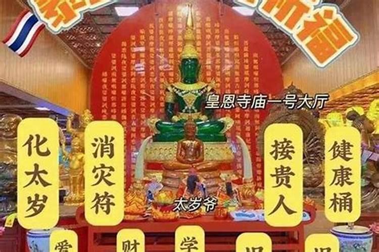 杨家冬至祭祖