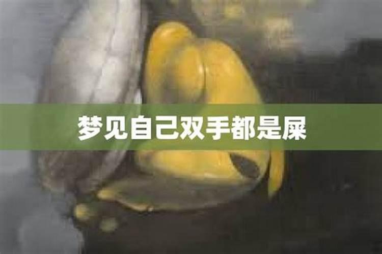 梦见自己双手