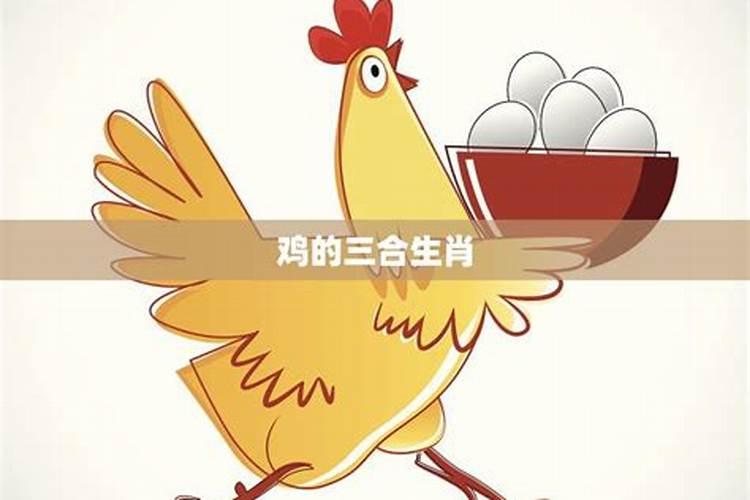 属鸡的三合属性是什么