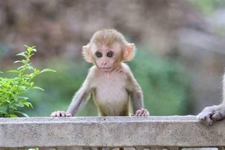 季节交换立夏注意什么