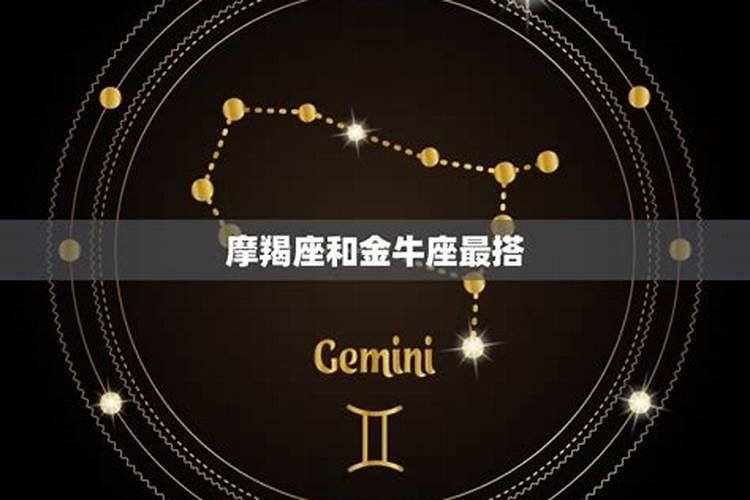 星座配对摩羯座的命中注定是什么星座