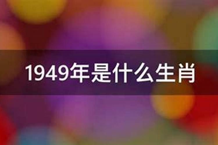 l949年属什么