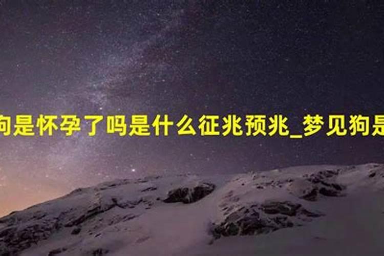 梦到狗是怀孕的症状吗