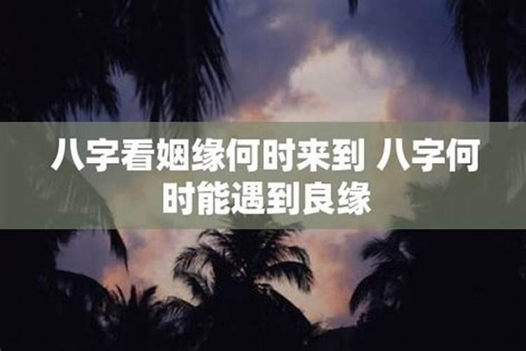 12月属牛的好吗吉利吗