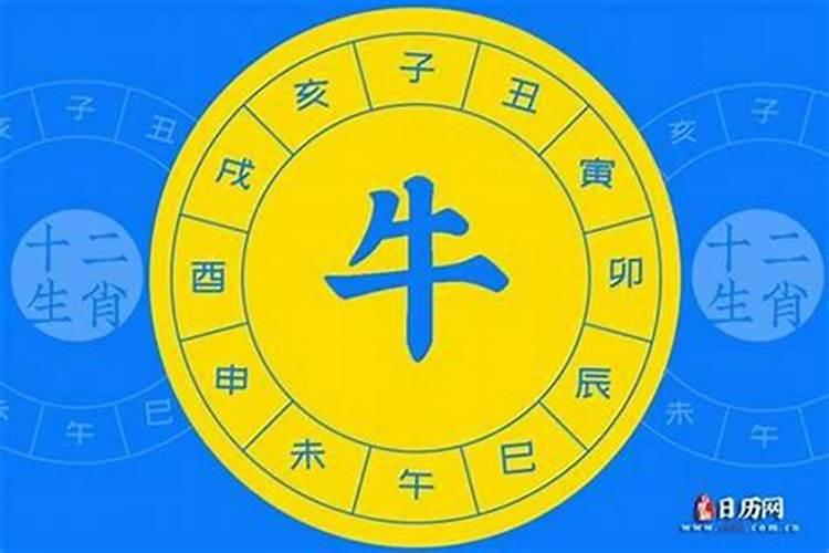 属牛五行属于什么命