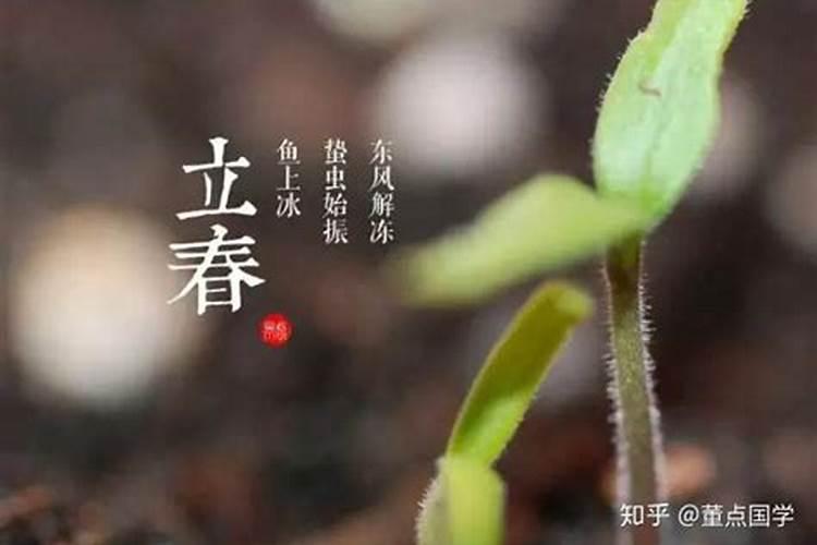 春节和立春哪个是新年节