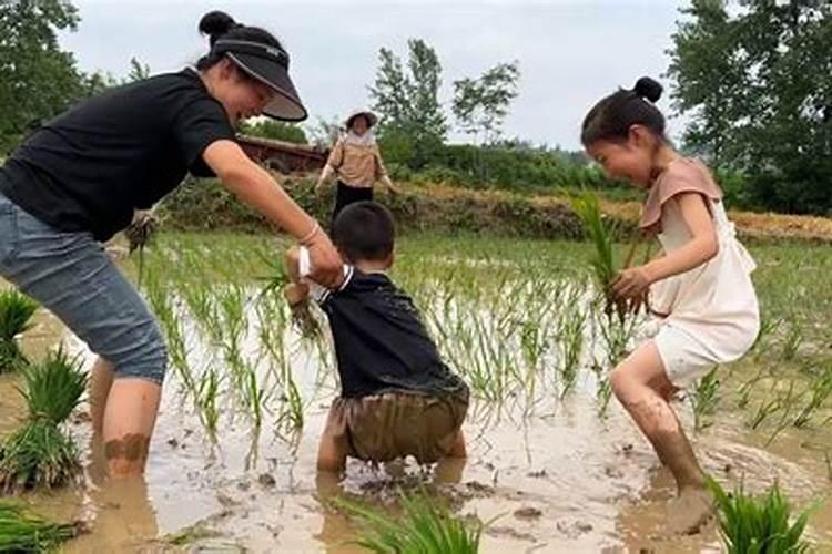 69年属鸡女在2023年全年运程如何