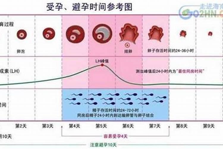 梦到坐牢是什么征兆女性