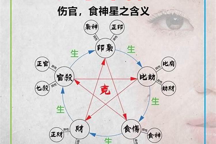 梦见有人来家看房子好不好