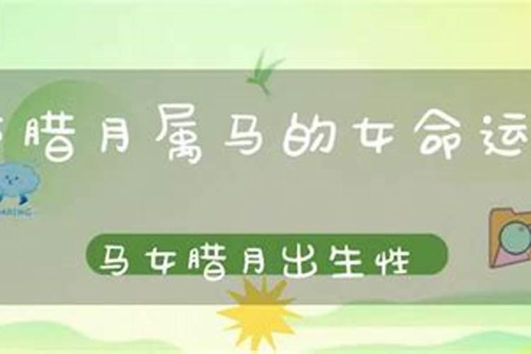 每年犯太岁属相列表