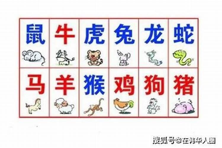 羊和马八字不合