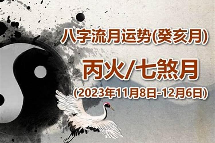 丙火2023年运势