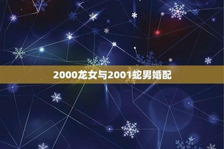 2001年蛇男和2000年龙女的婚姻