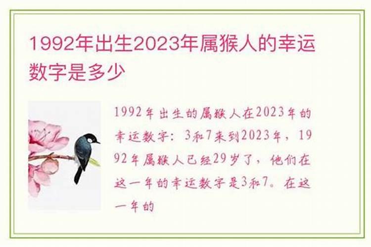 1992年属猴的幸运数字