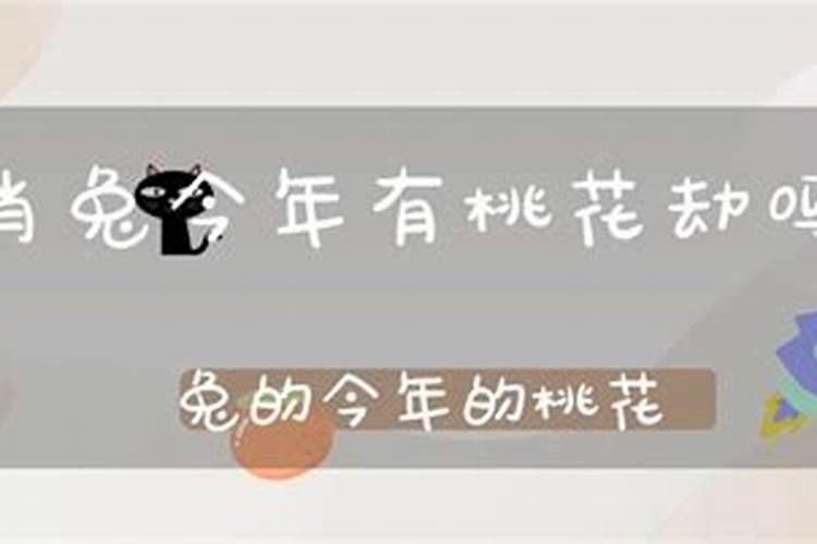 2021年兔子的桃花运