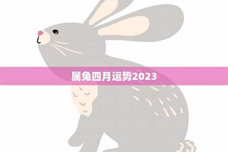 [year]兔子运势如何4月