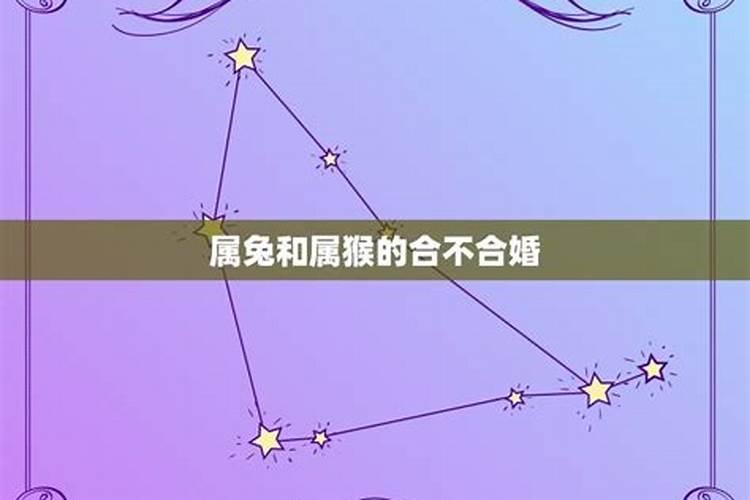 做梦梦见蛇把我咬了还出血了怎么回事啊