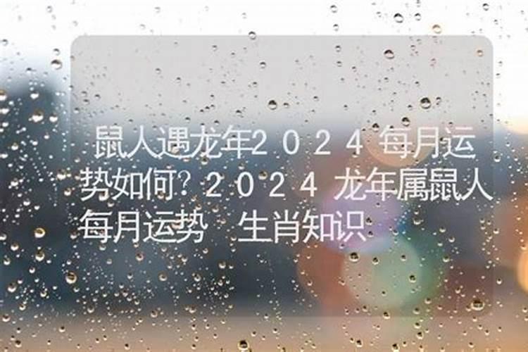 龙人遇鼠年2020运势如何