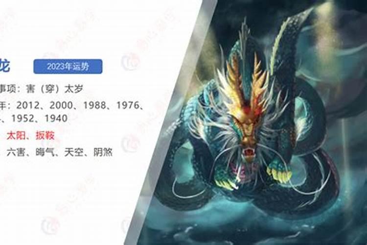 属龙人兔年运势2023幸运色