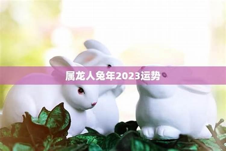 属龙人兔年运势2023吉祥物