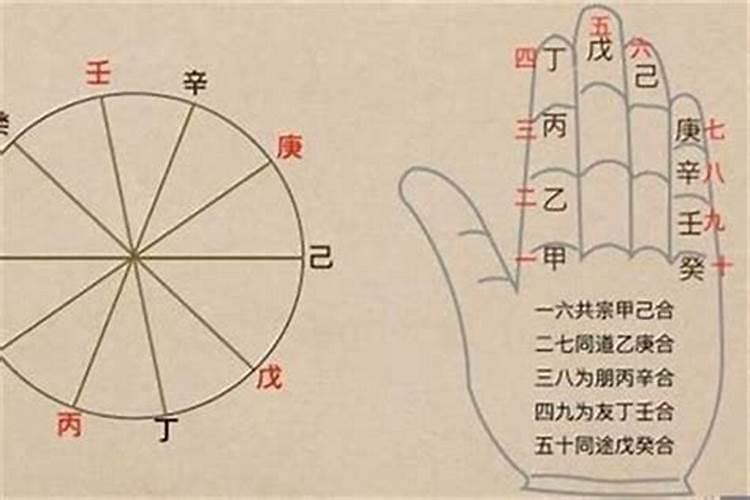 95年跟03年八字合吗