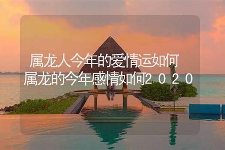 属龙的今年感情如何2020