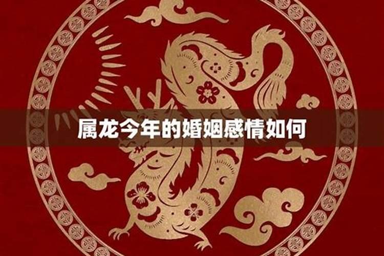 属龙的今年感情如何2020