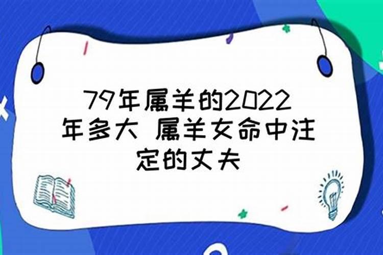 七九年属羊女2022年每月的运气